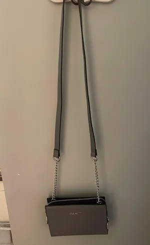 Steve Madden Silver Crossbody thumbnail 1