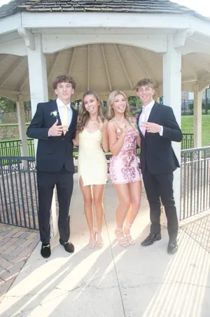 Homecoming Windsor Dress Sequin pink thumbnail 4