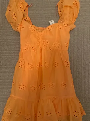 Francesca's Dress thumbnail 1