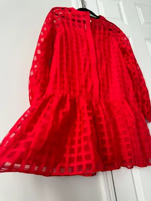 Anthropologie English Factory Organza Long Sleeve Mini Dress, Size M thumbnail 6
