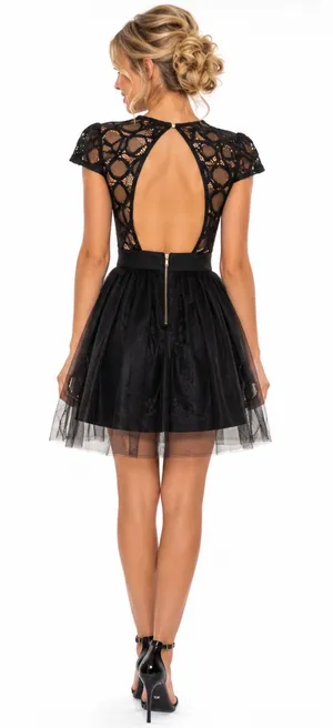 Privy Lace Illusion Tulle Fit & Flare Cocktail Mini Dress - Size S - NWT thumbnail 2