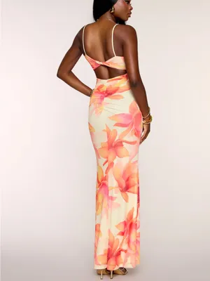 Windsor Late Bloom Energy Floral Mesh Maxi Dress thumbnail 3