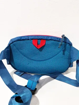 Patagonia Lightweight Sling Bag Blue Red Trim Nylon thumbnail 4