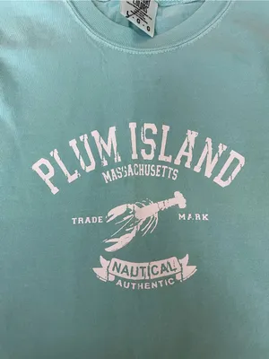 Comfort Colors Plum Island Graphic Tee - Aqua Blue thumbnail 4