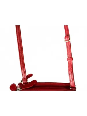Giani Bernini NEW Genuine Leather Crossbody Purse Red Old Money Quiet Luxury Bag thumbnail 7