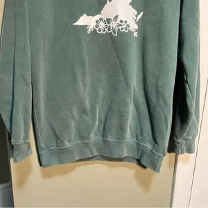 Comfort Colors Women's Size Small Crewneck Sweatshirt Light Green White Virginia thumbnail 3