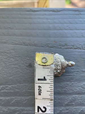 Vintage Silver Tone Turtle Brooch Featuring a Sparkling Rhinestone Shell thumbnail 7