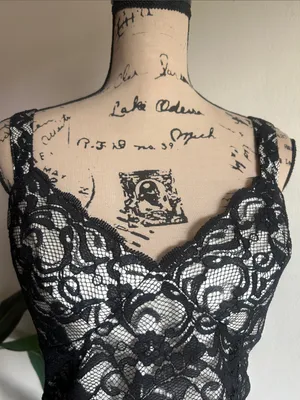 White House Black Market Lace Corset Top Size 10 thumbnail 4