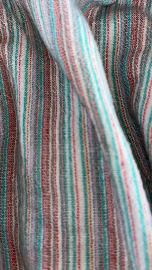 American Eagle Shorts thumbnail 3