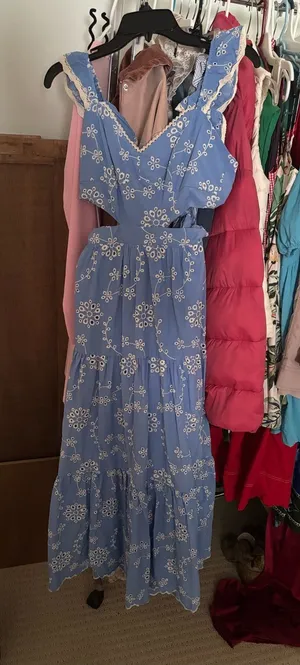 Women’s Blue Floral Eyelet Cutout Maxi Dress thumbnail 1