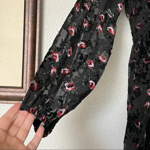 WAYF Brayden Long Sleeve Black with Red Roses Embroidered Velvet Dress Medium thumbnail 8