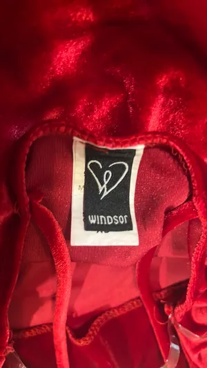 Windsor Red Velvet Dress thumbnail 3