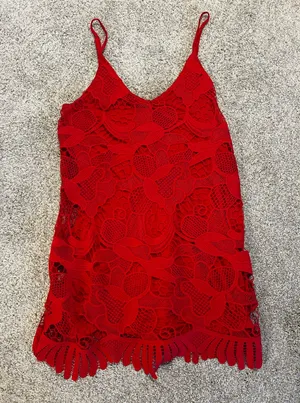 Express Red Lace Dress thumbnail 1