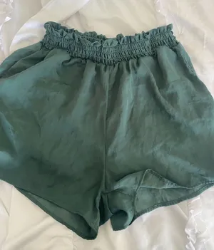 American Eagle Shorts thumbnail 1
