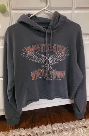 Hollister Cropped Hoodie thumbnail 1