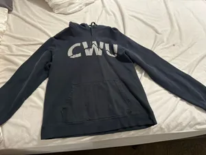 3 central Washington university sweatshirts Multiple Size L thumbnail 1