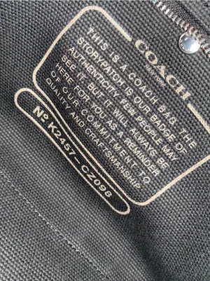 Coach Cargo Embroidered Tote Crossbody Bag 20, NWT, Black / Silver thumbnail 14