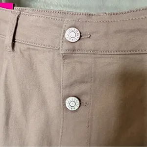 Celebrity Pink‎ Skirt A Line Mini Button Front Tan Size 9 NWT thumbnail 3