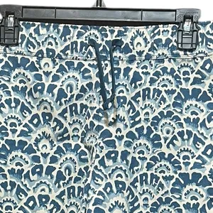 The North Face Class V‎ Mini Blue Geometric Nylon Shorts Size Large thumbnail 3