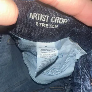 American Eagle Artist Crop dark wash normcore size 4 jeans thumbnail 2