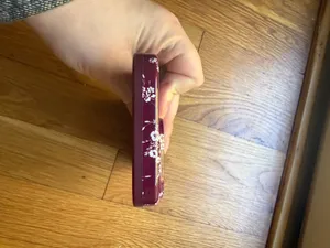 Velvet Caviar iPhone 16 Pro Max Case thumbnail 4