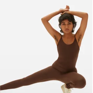 Everlane Chocolate Brown Bodysuit xxs thumbnail 1