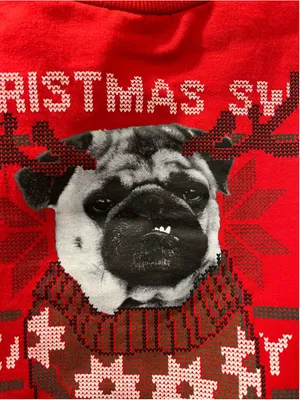 Mad Engine Men Medium Pug Ugly Christmas Sweater Crewneck Sweatshirt Red Dog Med thumbnail 7