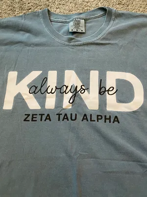 Comfort Colors Zeta T-Shirt thumbnail 4