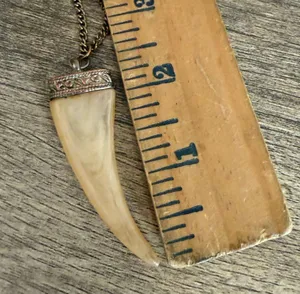 Vintage Fang Tooth Necklace Discoloration thumbnail 4