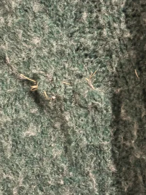 Sweater thumbnail 4