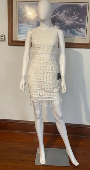 Lulus dress XS thumbnail 1