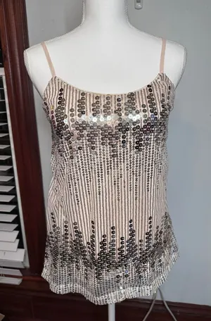 rue21 Womens Medium Champagne Gold Silver Sequin Striped Camisole Top Tank thumbnail 1
