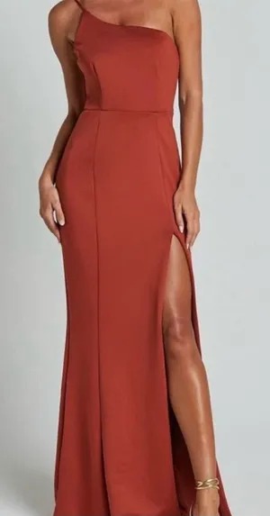 Showpo No One's Fault Rust One Shoulder Maxi Dress 14 NWT thumbnail 1