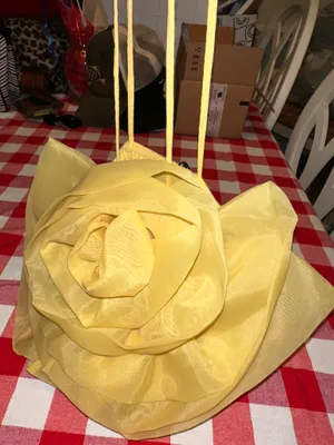 Zara Organza/Rose Top thumbnail 6