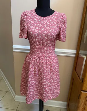 Francesca’s Gabrielle Floral Short Sleeve Mini Dress thumbnail 3