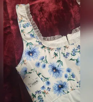 NWT Altar'd State Alex Floral Corset In blue Size L thumbnail 8