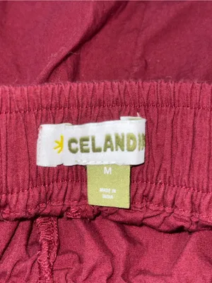 Anthropologie Celandine Burgundy Ruffle Edge Shorts thumbnail 4
