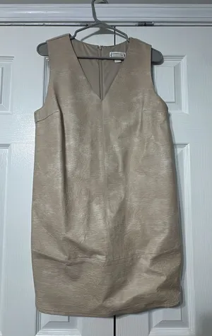 Love Riche Dress thumbnail 1