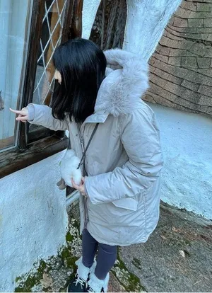 Wilfred Mont Blanc Parka - New with tags - Size S - Aritzia Jacket thumbnail 4