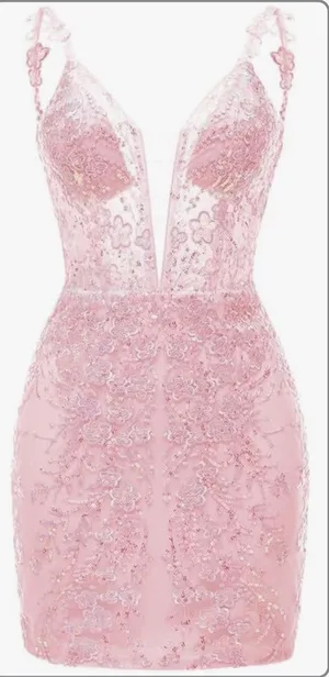 Pink Lace dress Size 16 thumbnail 1