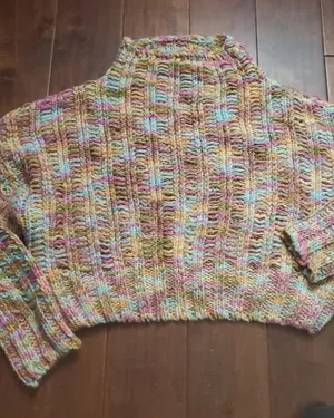Sadie & Sage Multi-Color Ribbed Knit Women's Sweater Cropped Size Xs Oversized thumbnail 1