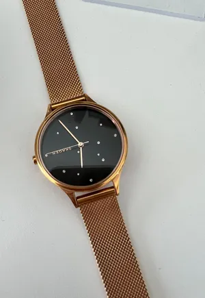 Skagen Watch thumbnail 1