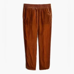 Madewell Track Pants‎ in Brown Velvet with Pockets thumbnail 2