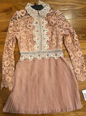 ASOS DESIGN rose Victorian-inspired Pleated Lace Dream Mini Dress 6 thumbnail 12