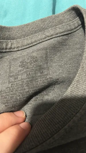 Fruit of the Loom T-Shirt thumbnail 2