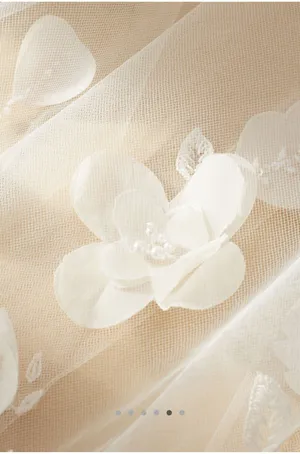 Wedding Veil thumbnail 5