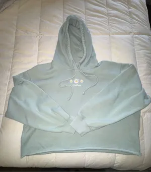 Hollister Daisy Pullover Hoodie - Pale Blue thumbnail 1