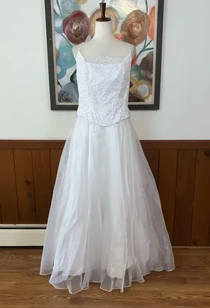 Pretty New Lenovia Organza Prom/Quinceanera/Wedding Gown! thumbnail 1