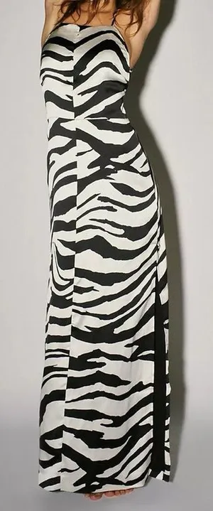 Free People Abby Zebra Print Maxi Dress thumbnail 1