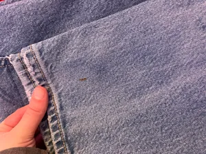 American Eagle Outfitters Jeans thumbnail 5